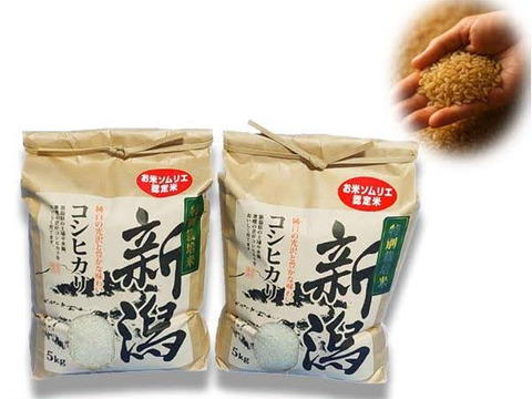 新米🌾味に自信あり玄米🌅令和8年🌾5kg×2🍚10kg🌾お米ソムリエが作る