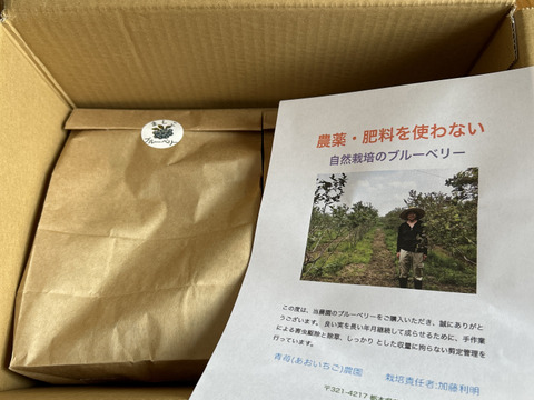 [生食用](7/22〜28発送予定)ラビットアイ系ブルーベリー(５００g単位）４kg(8個）まで同送料で注文可能