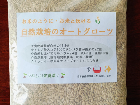 🌾お米のように・お米と炊ける「自然栽培のオートグローツ」900g🌾栄養豊富な全粒穀物⭐️