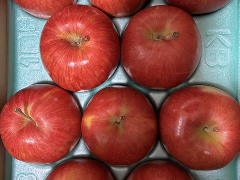 『シナノスイート』ご家庭用秀品約2kg　スマートフレッシュで収穫時の鮮度そのままサックサク！甘くてジューシー！