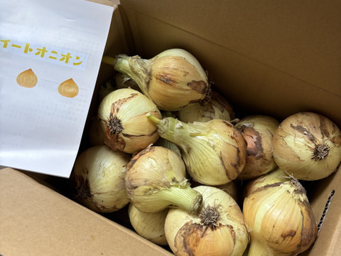 【予約商品】淡路島産新玉ねぎ 〚スイートオニオン』5kg