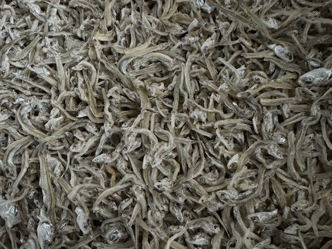 自然の塩風味ちりめん　５００ｇ　塩なし