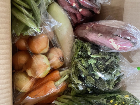 農家直送！規格外・わけあり品セット(A)2,800円分