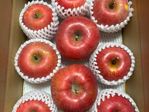 農家直送　家庭用サンふじりんご３kg（約９玉）