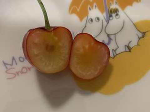 【贈答、プレゼント用】数量限定‼︎手詰め‼︎佐藤錦発祥の地。山形県東根産佐藤錦