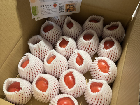 【こだわり土耕栽培】濃厚な愛情と旨み！こてらんねぇトマト M〜Lサイズ(約3kg 入り)