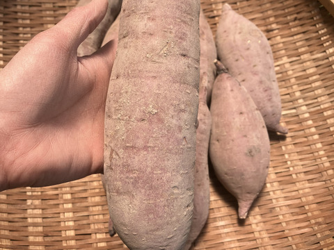 ＊自然栽培〈特大べにはるか〉大分県産さつまいも 4kg