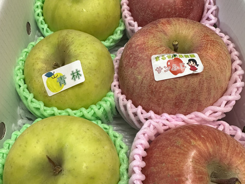 まるせい果樹園のサンふじ、パインアップルと青林の詰め合わせ　2㌔箱　贈答用　自家用　家庭用 rs4