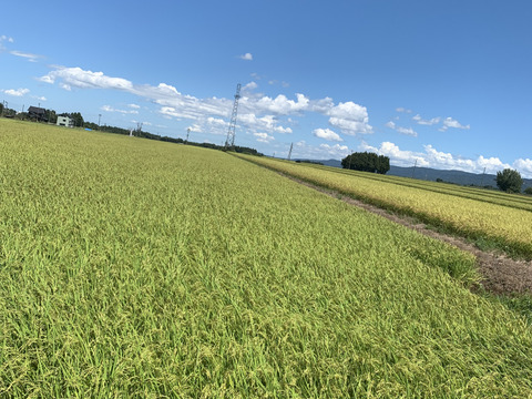 令和7年新米！！『魚沼産コシヒカリ』15キロ（玄米）‼️