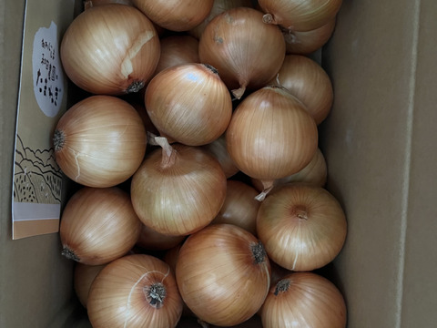 【淡路島　和田農園】数量限定淡路島産玉ねぎ訳ありお試し用５kg