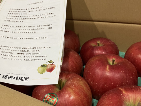 すぐ発送出来ます❗️サクッと甘い！シナノスイート　青森県産りんご（8個～12個）
