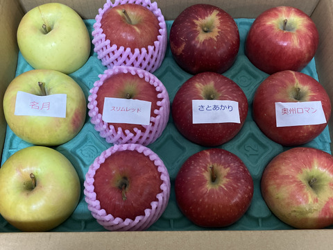 🎊発送中🎊【限定100】リンゴ食べ比べ🍎3キロ箱 6玉〜15玉サイズ 商品ID48414 長野県 信州 安曇野 リンゴ 幻 幻のリンゴ 予約 希少 旬 食べ比べ 詰め合わせ 贈答 家庭用