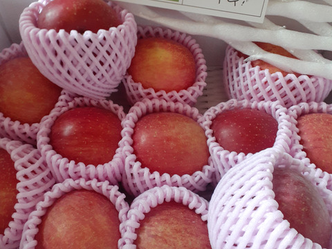 まるせい果樹園のサンふじ　贈答用　家庭用　自家用　小玉　約3キロ rfk