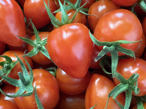 切ったらハート⁈  美味しくてかわいいトマトベリー　2kg(1kg×2箱)