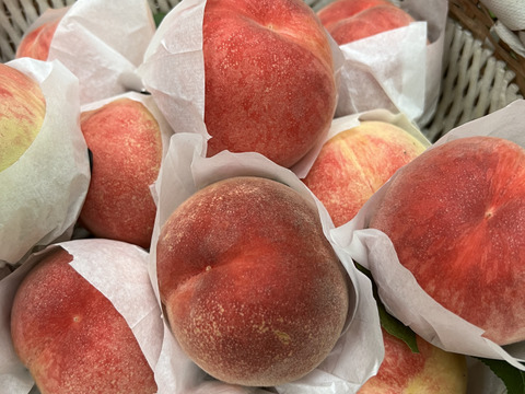 山梨県産　特上　桃　約700ｇ（2〜3玉）