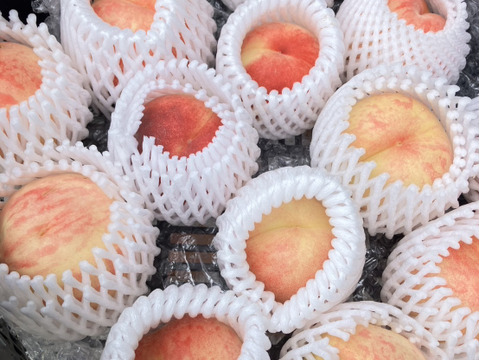 今年の桃はよくできました！おまかせ桃セット 約3㎏