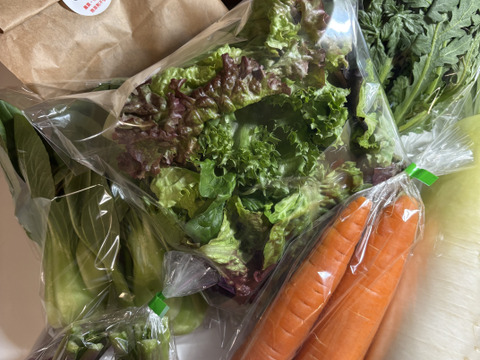 春夏秋冬、山から届くシェフの育てた野菜セット