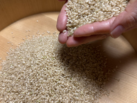 特別栽培米　神戸のまごころコシヒカリ　玄米　５kg