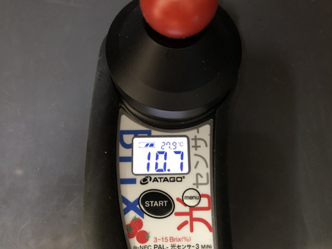 【ワンランク上のミニトマト】一粒一粒光センサーで検査！糖度8.9.10度！食べ比べセット！