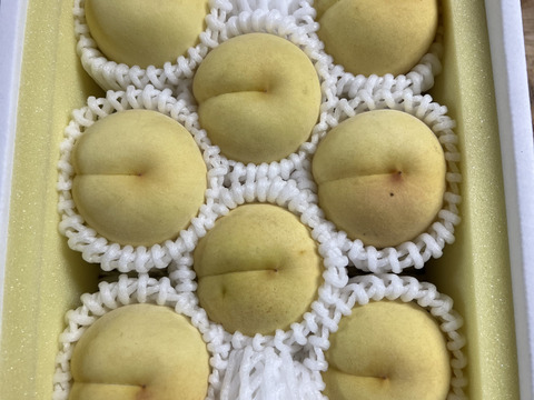 希少！ふゆももがたり（ご家庭約1.2キロ）