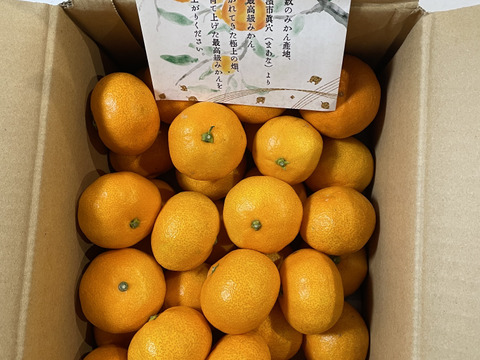 【最高級】真穴（まあな）産地直送　極上みかん　2S～Sサイズ　3Kg やや小ぶり　贈答　【冬ギフト】
