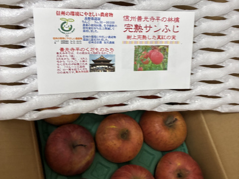 「完熟サンふじ」訳あり　在庫一掃底値市！！中小玉　ご家庭専用　3キロコース　甘酸バランス良好