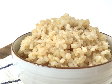 【５％OFF】ふっくらもちもち！米農家の無添加玄米ごはん　玄米プレーン　24食分