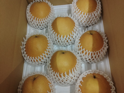 【鳥取産】王秋梨！