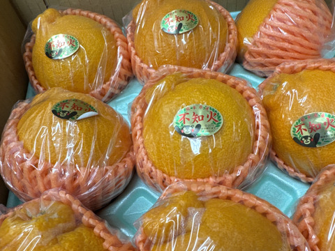 昨年大好評田辺農園不知火デコ柑約2,5k 12玉、13玉、15玉小玉