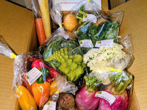 【常温便】カラダ喜ぶ『Mサイズ冬のカラフル野菜セット8品目』