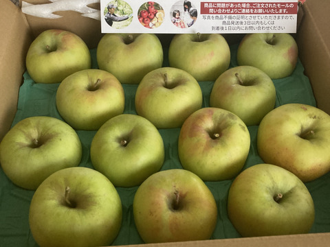 【家庭用】ぐんま名月 約10kg 24-46玉 ジューシーな希少りんご 11月発送予定 #NAM0B100