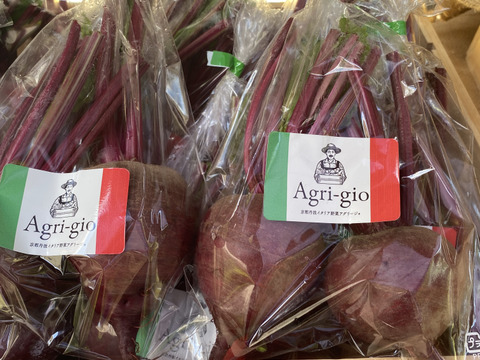 【京都産】　生ビーツ　約1.5kg　(葉なし６〜8個程度 )