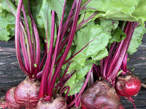 甘くておいしい🩷オーガニックビーツ 3kg
Organic Beet root 【有機JAS認証取得】