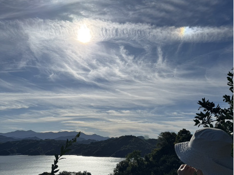 「うまっ」ストレートみかんジュース 720ml　×　4本