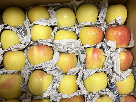 【訳あり・バラ詰め・小玉多め】ぐんま名月💛約4.5Kg🍏青森県産　数量限定　コスパの鬼