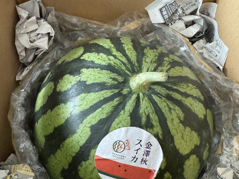 砂丘地特産】金澤秋スイカ 7~10Kg 常温便:石川県産のその他 砂丘地特産】金澤秋スイカ 7~10Kg 常温便:石川県産のその他