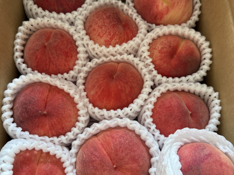 希少品種が入るかも！【品種おまかせ🍑白桃】訳あり2kg ※8~9月発送