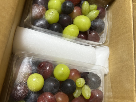 予約受付中！【グルメボックス】食べ比べセット　詰め合わせ