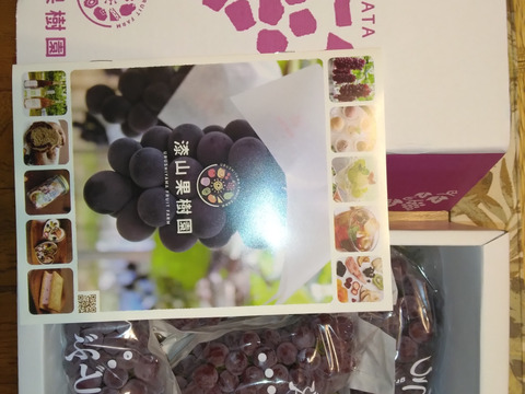 2箱【朝どれ】【贈答用】にも！！クール便発送★山形県産完熟ぶどう種なしデラウェア5房前後