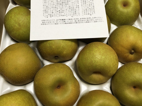 ふわり　な2箱　幸水　梨 楽天市場】無農薬 梨 幸水の通販