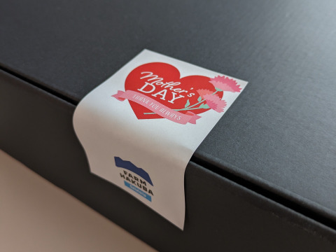 【母の日ギフト】 本格 イタリアンジェラート 【6種セット】【熨斗対応可】