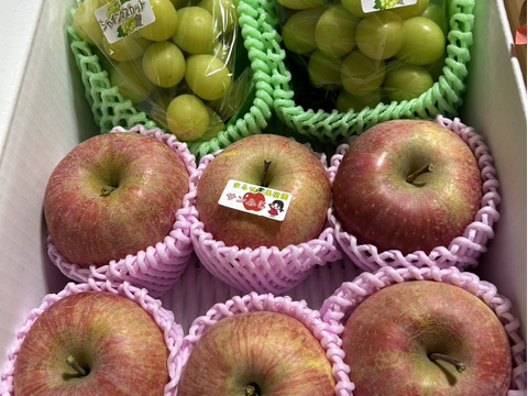 ※12/27　午前9時まで支払い済みになっているご注文は年内に発送させて頂きます。　まるせい果樹園　冬シャインマスカットとふじの詰め合わせ　約3ｋ  ob7