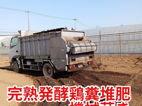 泥ねぎ約3kgサイズＳ,Ｍ,L混合