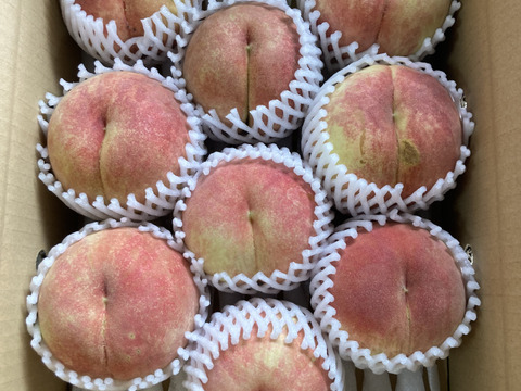 🍑青空むすめ🍑3キロ箱　訳あり家庭用