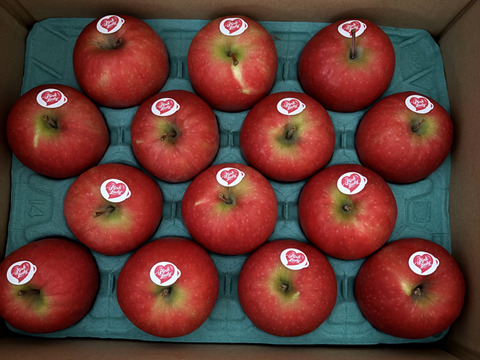 キュンとくる酸味りんご❗　ピンクレディー®（12個から16個）箱含め3キロ