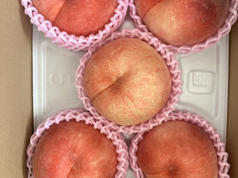 【朝どれ】（訳あり商品）糖度13度以上！硬い桃　1.5～2.0kg（4-8玉）