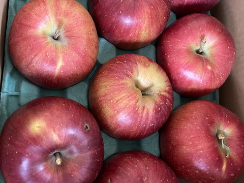 「シナノスイート」　値下げ！！訳ありご家庭専用　約3キロコース　（8から11玉）ご好評販売中