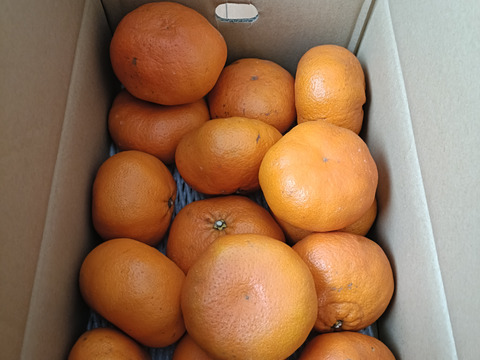 「甘平」4kｇ　家庭用！！
サクサク食感♪順次発送中〜！