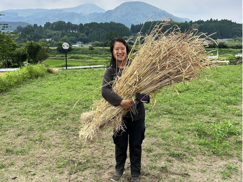 無肥料無農薬自然栽培　古代小麦　スペルト小麦 楽天市場】【予約】 国産 小麦粉 スペルト小麦粉 スペルト小麦