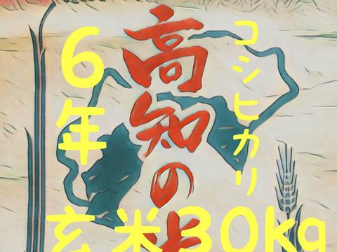 令和6年産 高知県産 コシヒカリ 玄米30㎏(袋込み)